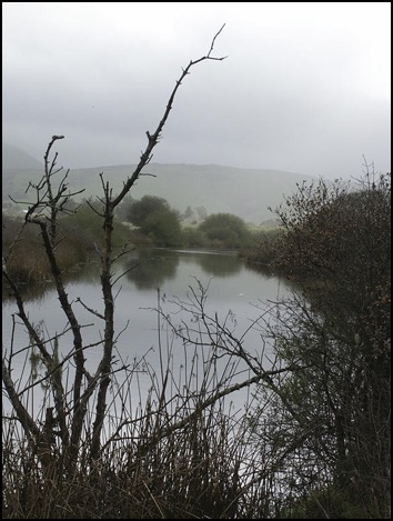 Stream with hills and trees